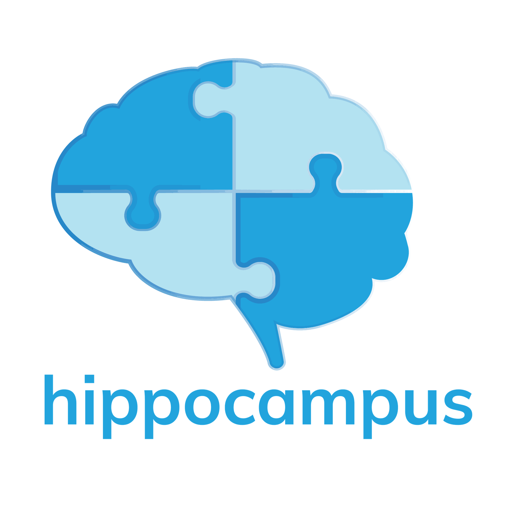 learnhippocampus.com